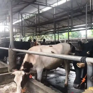 wisata jakarta timur