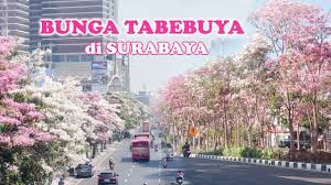 wisata surabaya seperti jepang